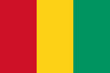 Vastu consultant in Guinea